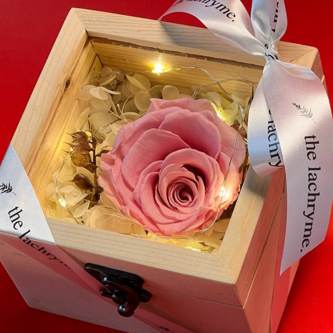 Fleur in Pink | Boxed Blooms | Small