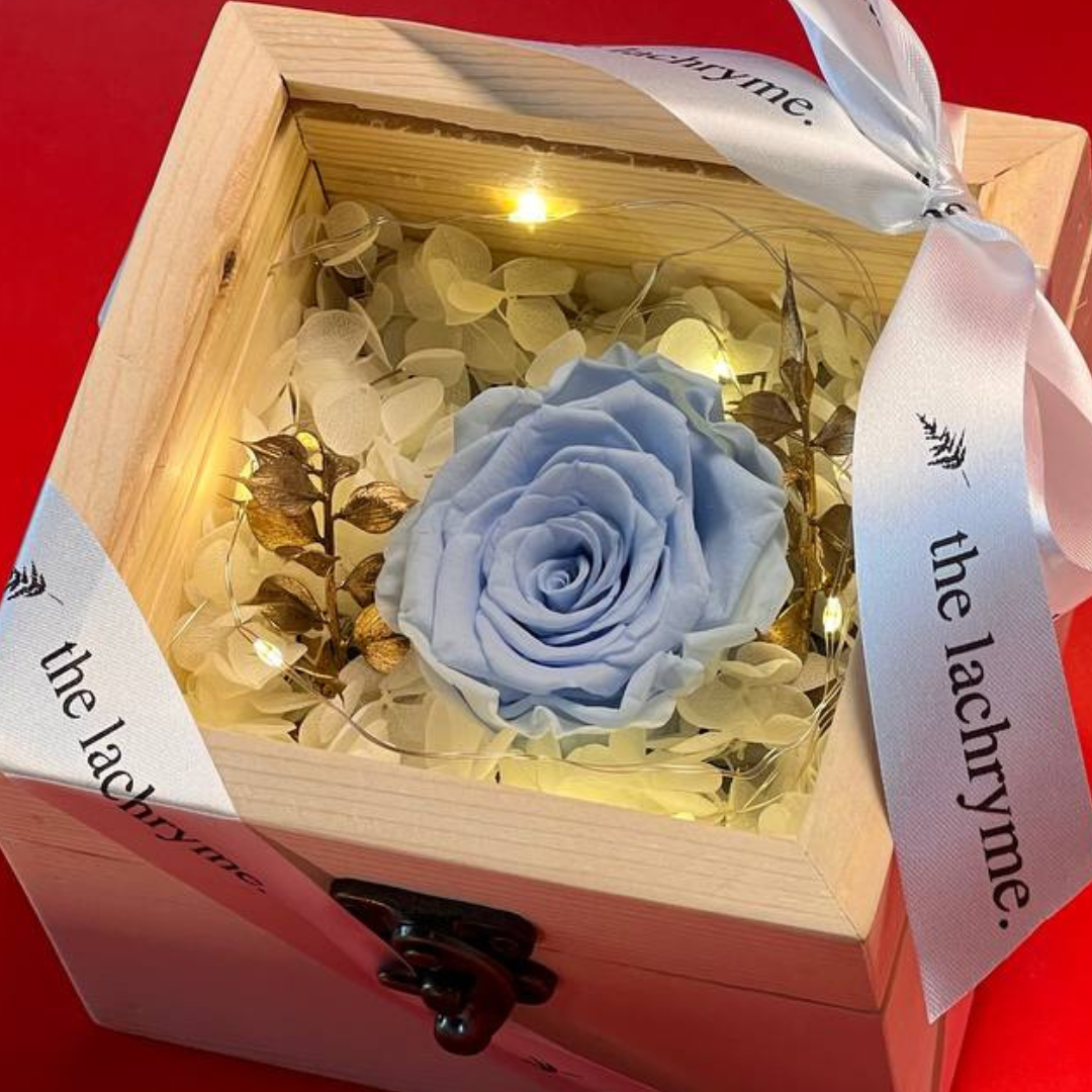 Fleur in Light Blue | Boxed Blooms | Small