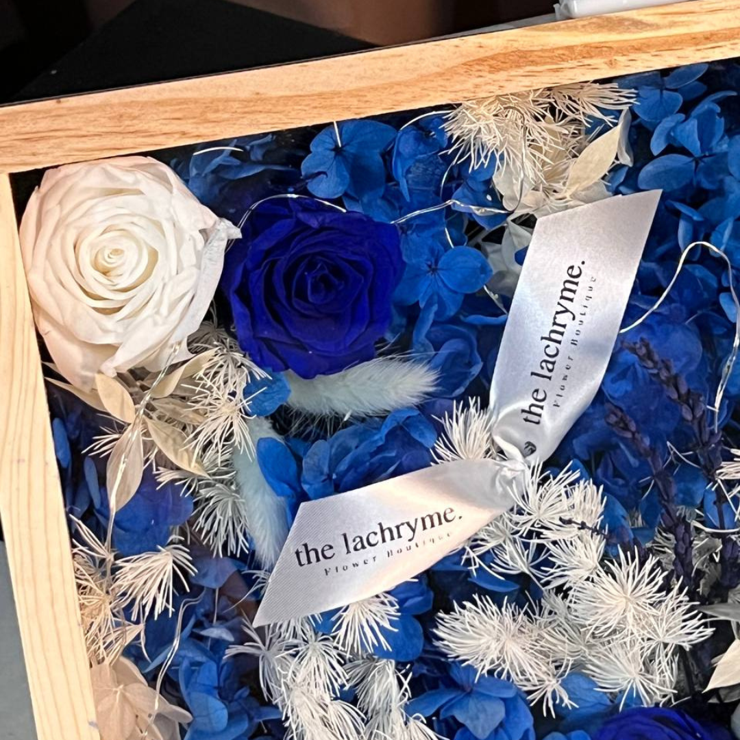 Caerulus | Boxed Blooms | Grande