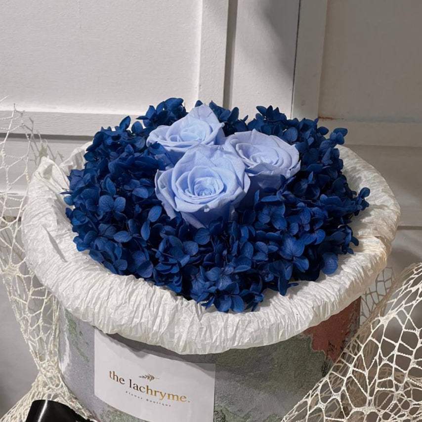 Gyros in Blue | Preserved Blooms | Petite
