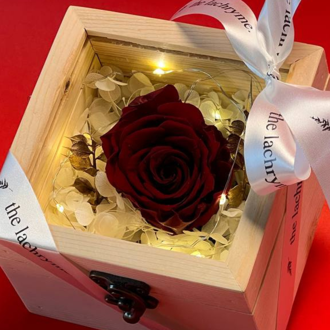 Fluer in Wine Red | Boxed Blooms | Small