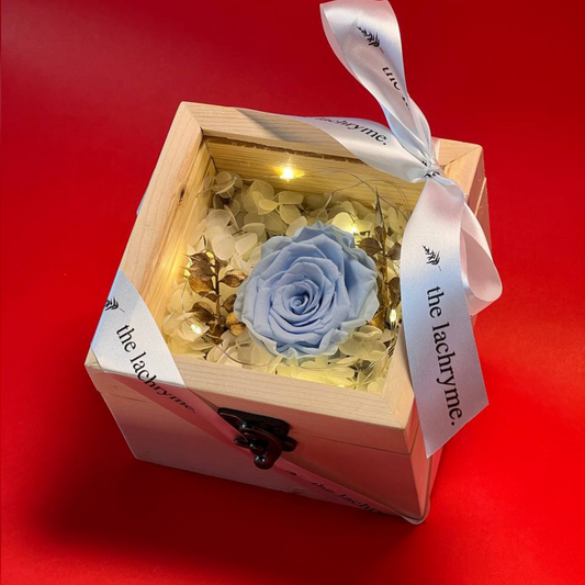 Fluer in Light Blue | Boxed Blooms | Small