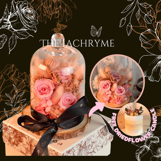 Finlay (Dome + Candle)