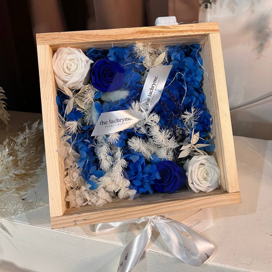 Caerulus | Boxed Blooms | Grande