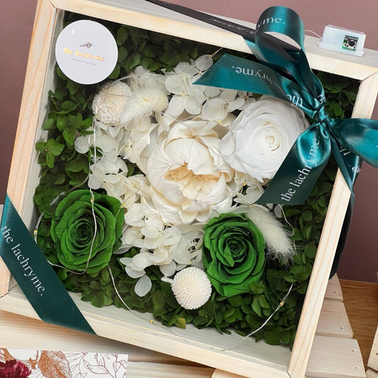 Nova | Boxed Blooms | Grande