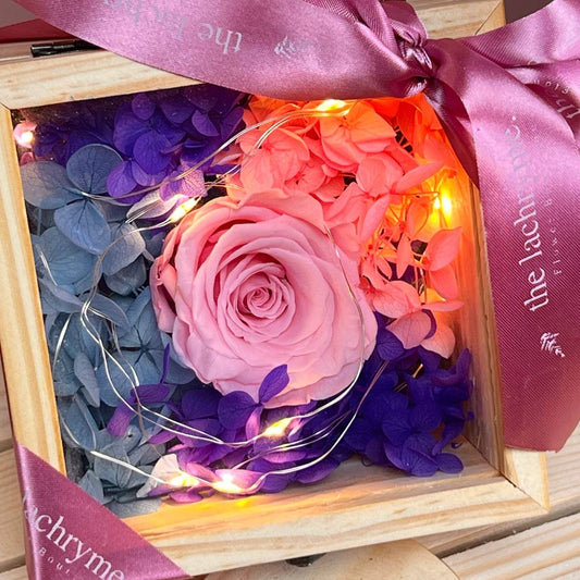 Mermaid in Pink | Boxed Blooms | Small